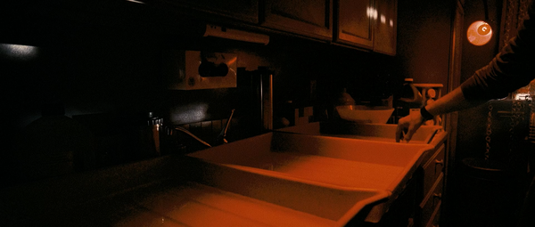 The Midnight Meat Train (2008)