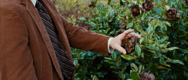 The Lovely Bones (2009)