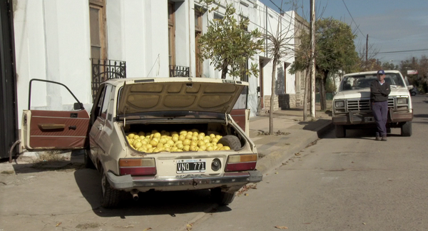 El Ciudadano Ilustre [The Distinguished Citizen][杰出公民] (2016)