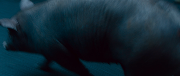 芳华 [Youth] (2017)