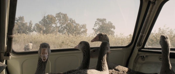 La isla minima [Marshland][沼泽地] (2014)