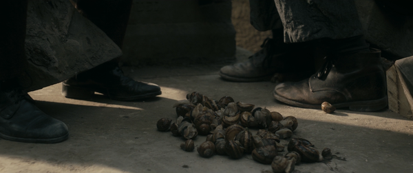 Promise at Dawn (2017)