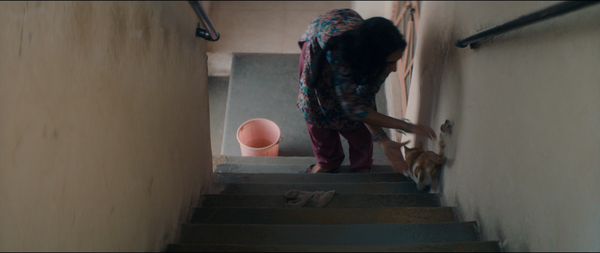 Hva vil folk si [What Will People Say][人言可畏] (2017)