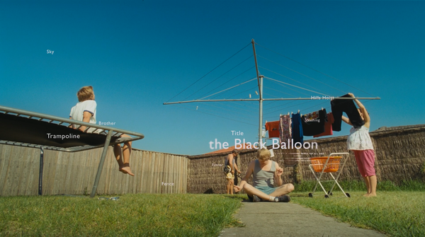 The Black Balloon (2008)