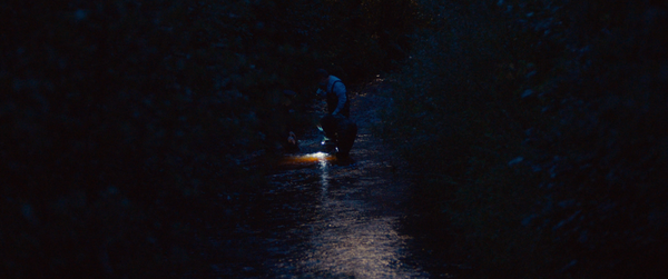 The Kid Detective (2020)