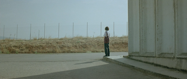 Kynodontas [Dogtooth][狗牙] (2009)