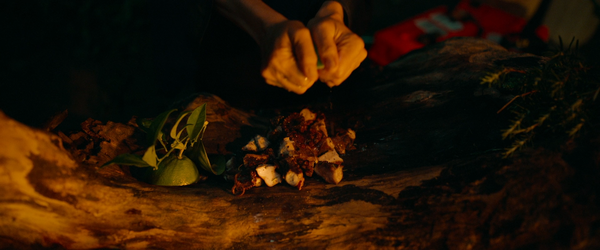 Triangle of Sadness (2022)