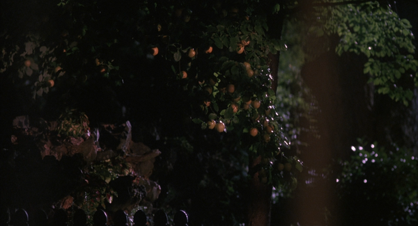 Sleeping With The Enemy (1991)